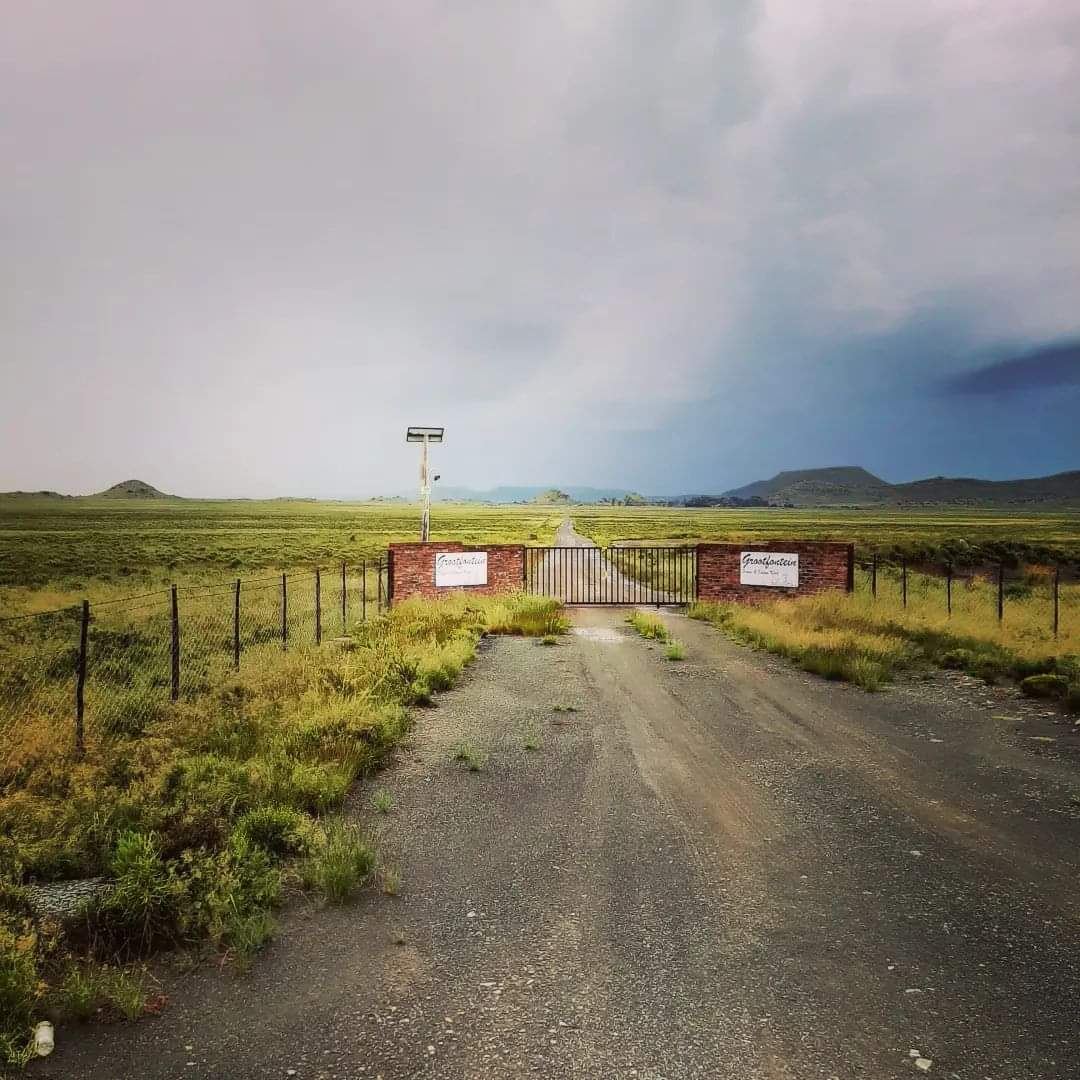 Farm road leading to the Grootfontein gate