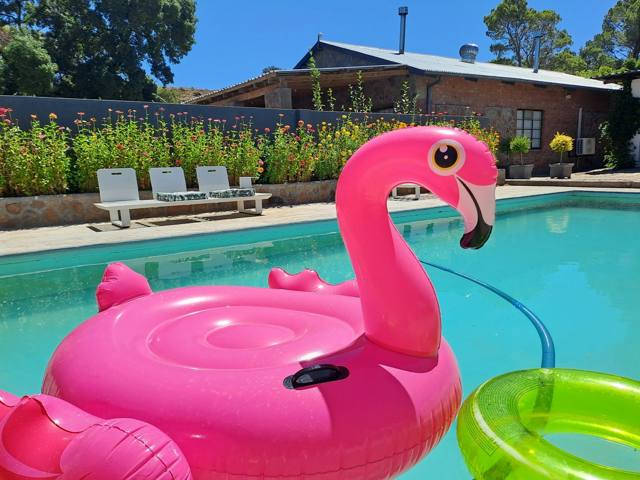 Pool with inflatable flamingo